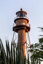 Sanibel Light Through Palms - Sanibel Island Lighthouse, Florida Royalty Free Stock Photo